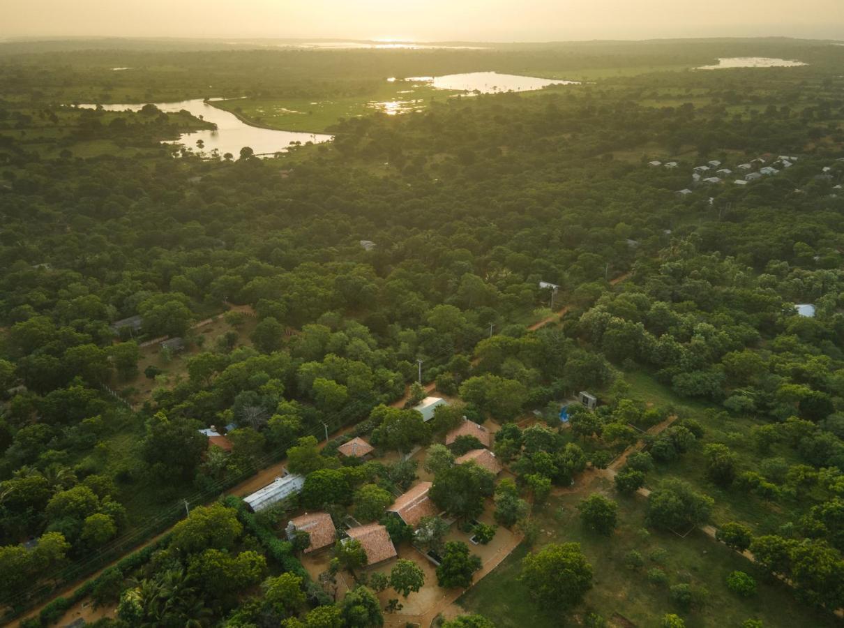 Koragaha Lodge - Yala Tissamaharama Exterior foto